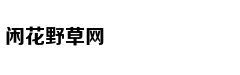 Ban tổ chức lên